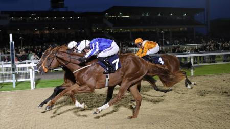 https://betting.betfair.com/horse-racing/Newcastle%20three-way%20AW%201280.jpg